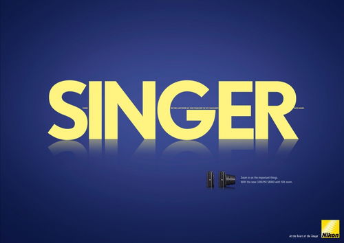 光影之间，定格永恒——尼康数码相机平面广告设计